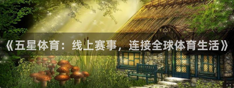 《五星体育：线上赛事，连接全球体育生活》
