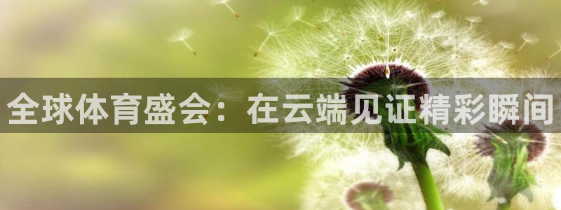 全球体育盛会：在云端见证精彩瞬间