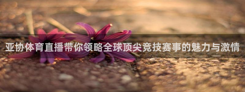 亚协体育直播带你领略全球顶尖竞技赛事的魅力与激情