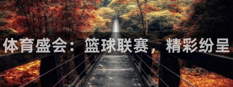 体育盛会：篮球联赛，精彩纷呈