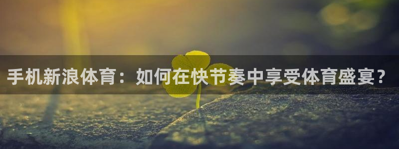 手机新浪体育：如何在快节奏中享受体育盛宴？