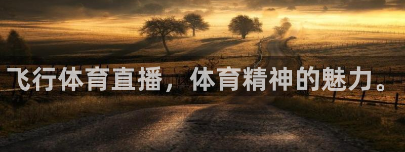 飞行体育直播，体育精神的魅力。