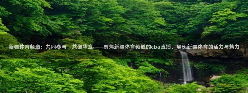 新疆体育频道：共同参与，共谱华章——聚焦新疆体育频道的cba直播，展现新疆体育的活力与魅力