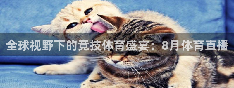 全球视野下的竞技体育盛宴：8月体育直播