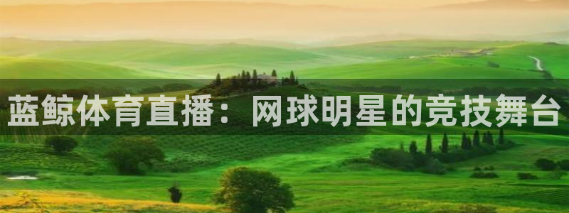 蓝鲸体育直播：网球明星的竞技舞台