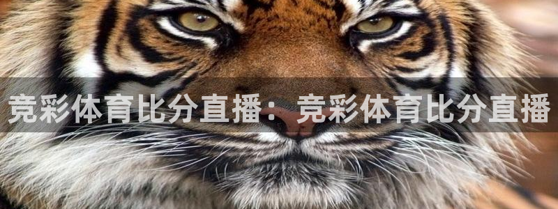 竞彩体育比分直播：竞彩体育比分直播